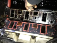 photo-5.webp