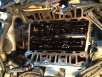 photo-2.webp